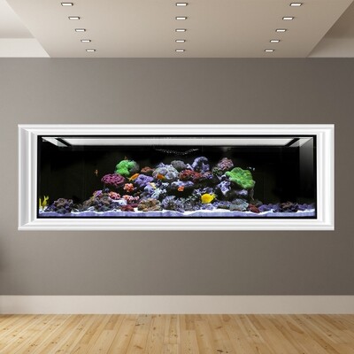 INT 200 Aquarium Tank Only (Excludes APS Stand) Made to Order