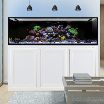 INT 200 Aquarium w/ APS Stand - White (Made to Order)