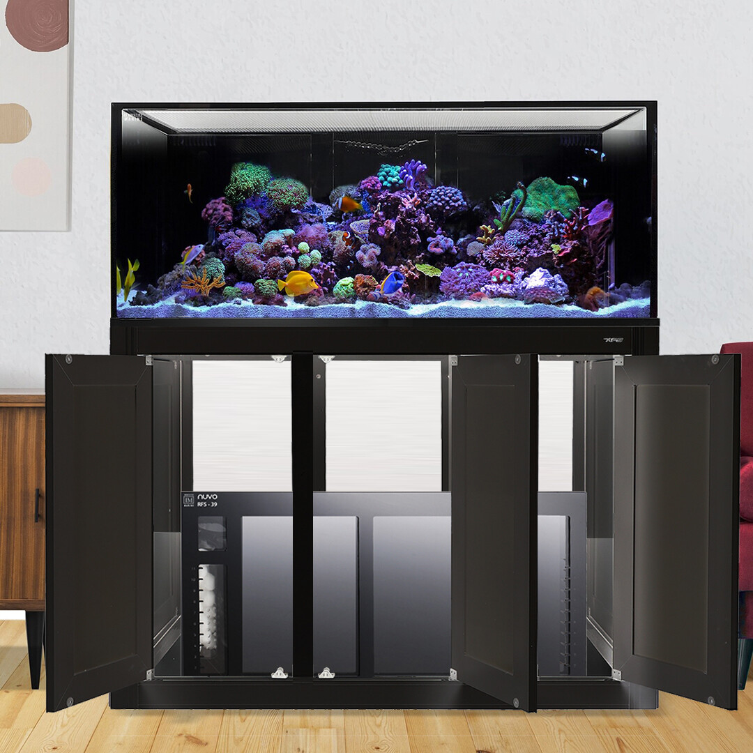 NUVO INT 150 Gallon Lagoon Aquarium + Black APS Stand + RFS Acrylic