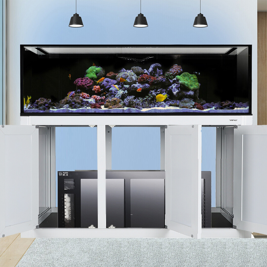 NUVO INT 200 Gallon Reef Ready Aquarium + White APS Stand + RFS Acrylic