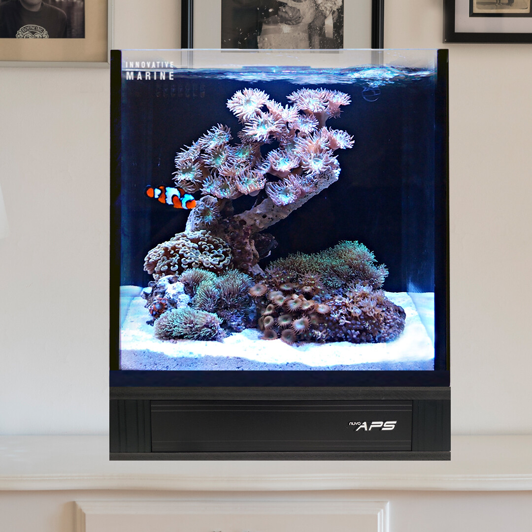 15 Gallon rimless cube AIO Aquarium Starter Kit w/ APS Pedestal Black