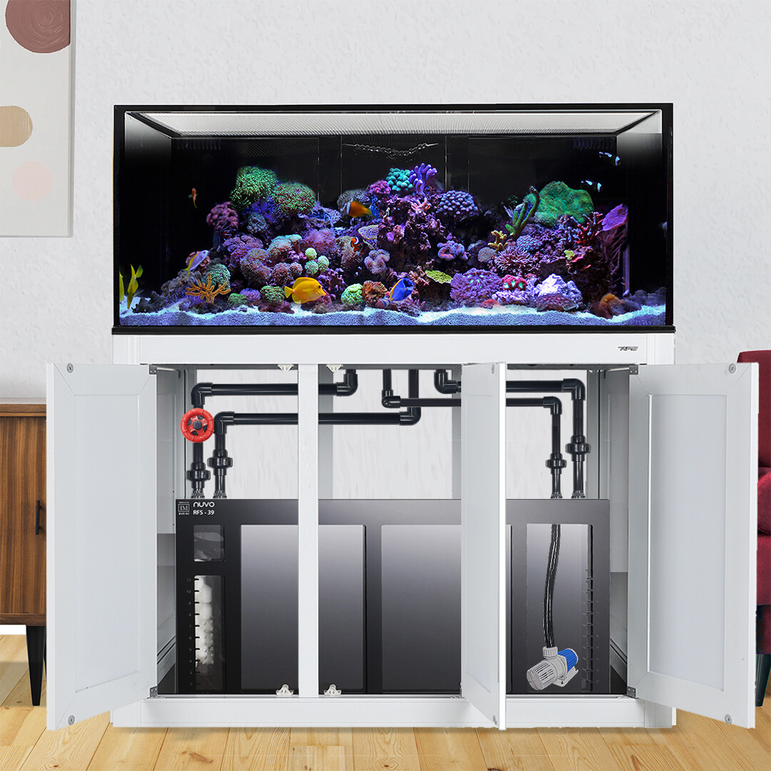 INT 100 Gallon Complete Reef System – White
