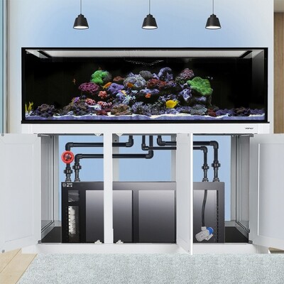INT 200 Gallon Complete Reef System – White (Made to Order)