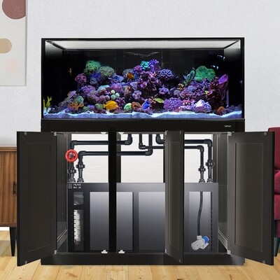 INT 150 Gallon Lagoon Aquarium Complete Reef System – Black (Made to Order)