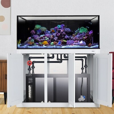 INT 150 Gallon Lagoon Aquarium Complete Reef System – White (Made to Order)