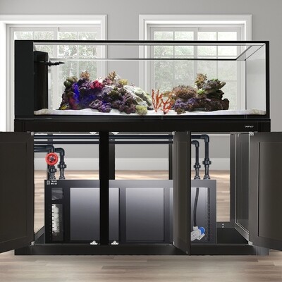 INT 200 Gallon Peninsula Complete Reef System – Black (Made to Order)