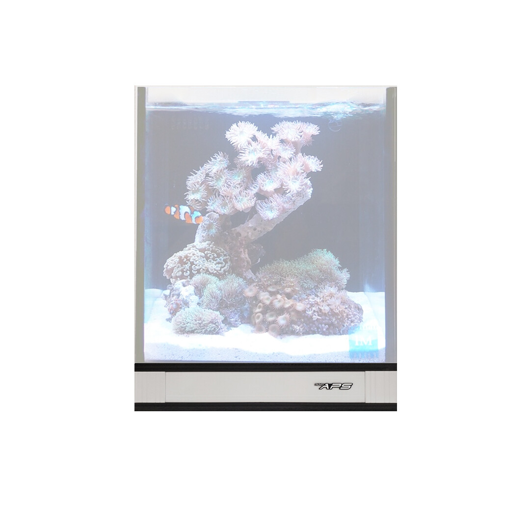 APS Aquarium Pedestal [Fusion 10] - White