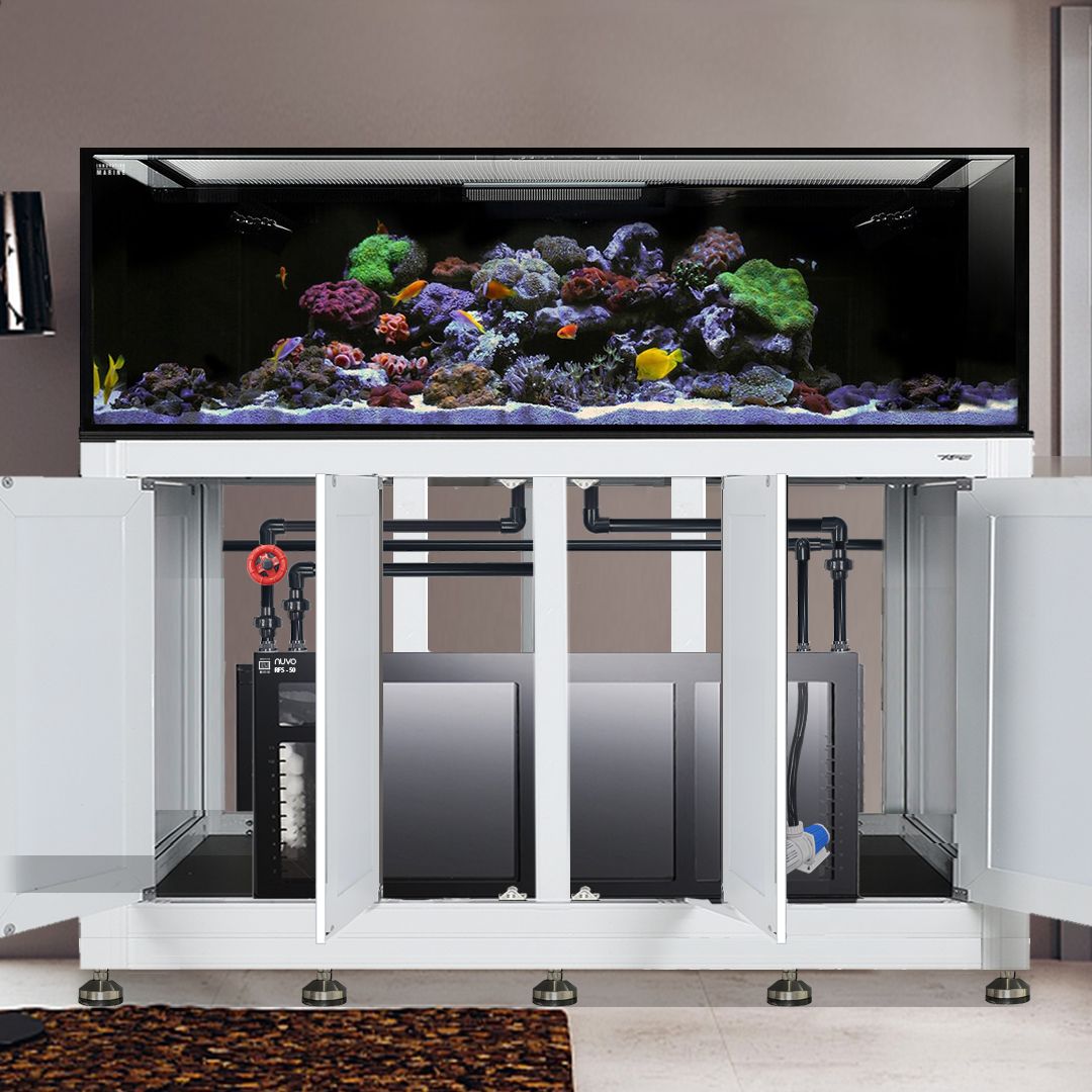 EXT 240 Gallon Complete Reef System – White (Made to Order)