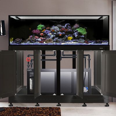 INT 240 Gallon Complete Reef System – Black (Made to Order)