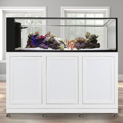 INT 200 Peninsula Aquarium w/ APS Stand - White (Made to Order) INT 200 Peninsula Aquarium w/ APS Stand - White (Made to Order)
