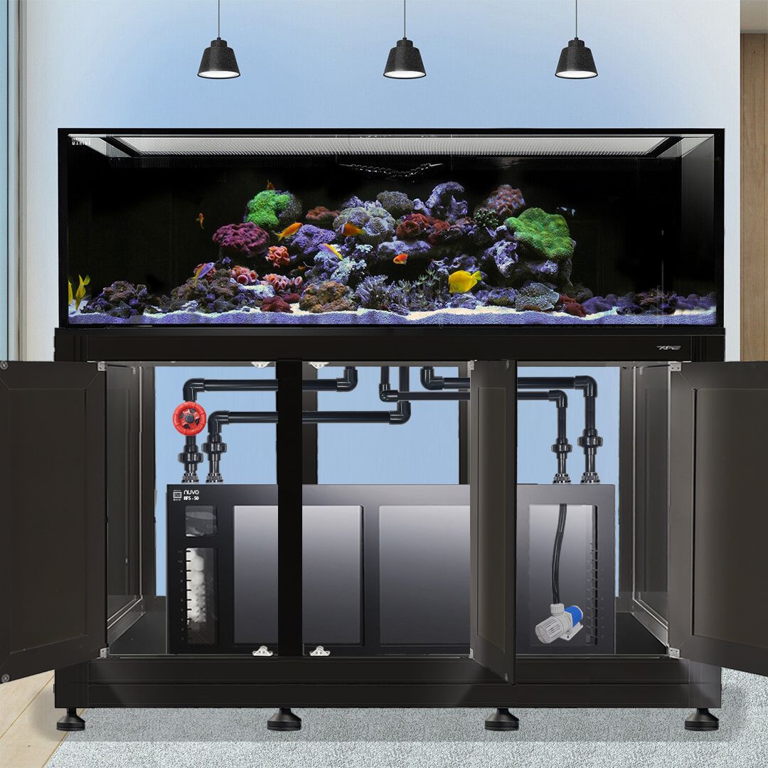 INT 200 Gallon Complete Reef System – Black