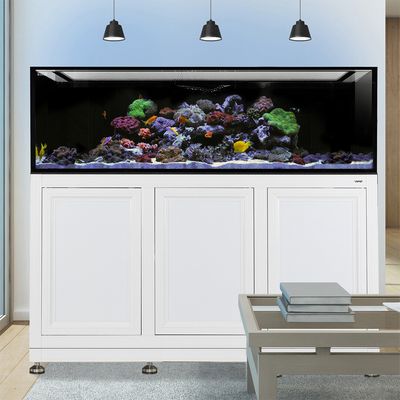 INT 200 Aquarium w/ APS Stand - White (Made to Order) INT 200 Aquarium w/ APS Stand - White (Made to Order)