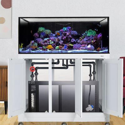 INT 150 Gallon Lagoon Aquarium Complete Reef System – White (Made to Order) INT 150 Gallon Lagoon Aquarium Complete Reef System – White (Made to Order)