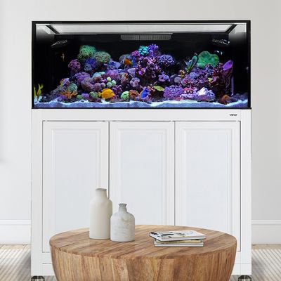 EXT 170 Aquarium w/ APS Stand - White (Made to Order)