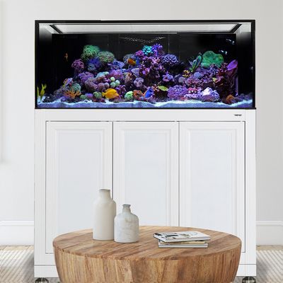 INT 170 Aquarium w/ APS Stand - White (Made to Order)