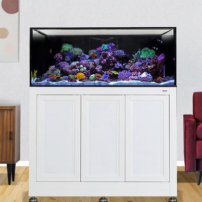 INT 150 Lagoon Aquarium w/ APS Stand - White (Made to Order) INT 150 Lagoon Aquarium w/ APS Stand - White (Made to Order)