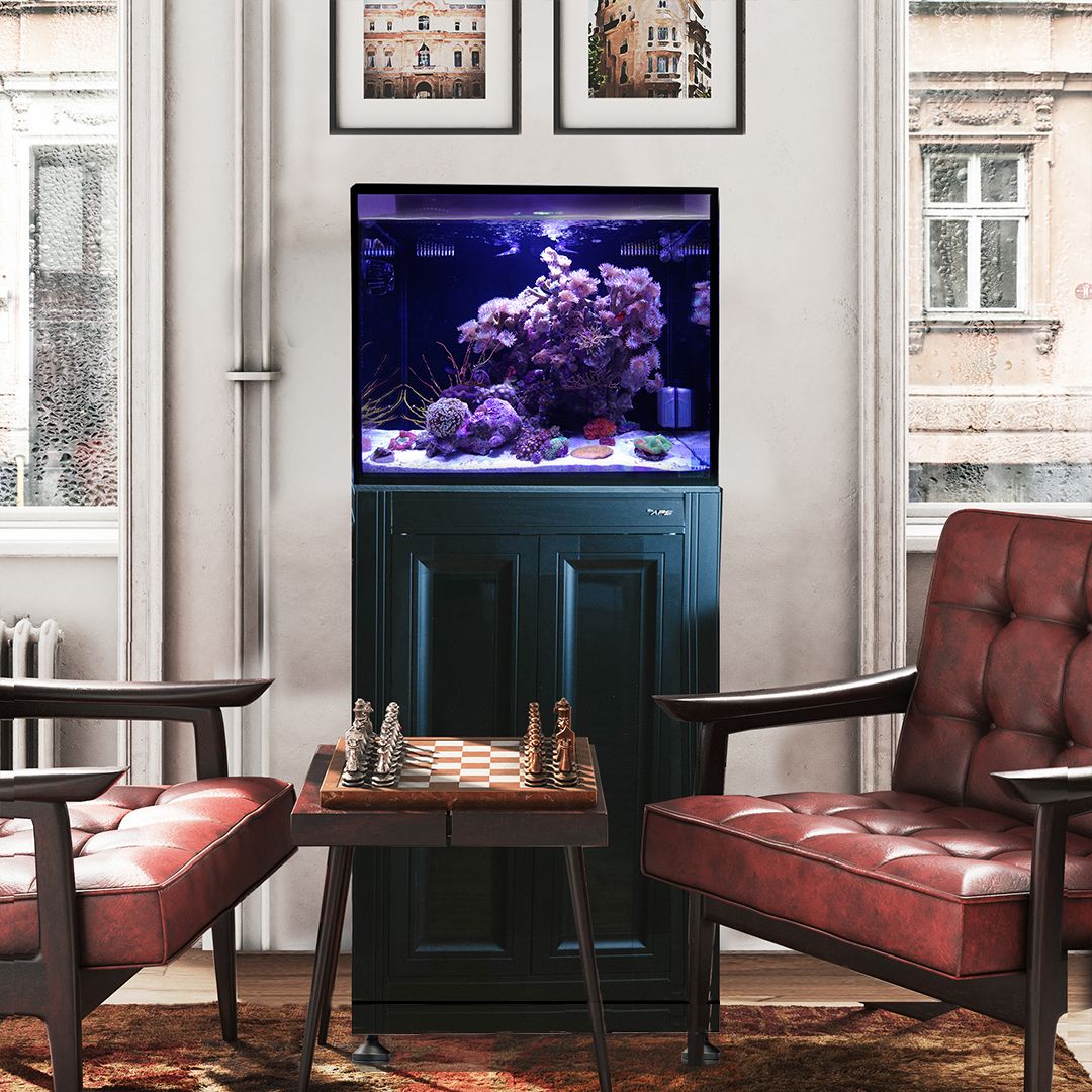 Fusion Pro 2 | 40 AIO Aquarium w/ APS Stand - Black Fusion Pro 2 | 40 AIO Aquarium w/ APS Stand - Black