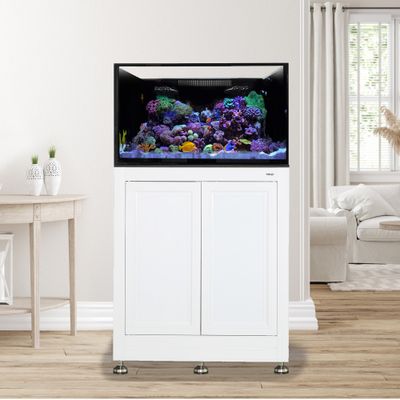 EXT 75 Aquarium w/ APS Stand - White