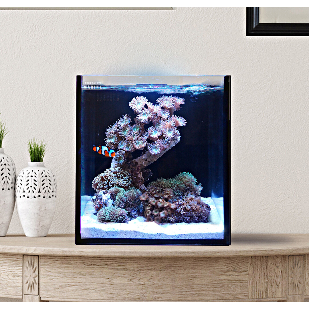 10 Gallon AIO Aquarium Nuvo Fusion Pro 2 -Desktop