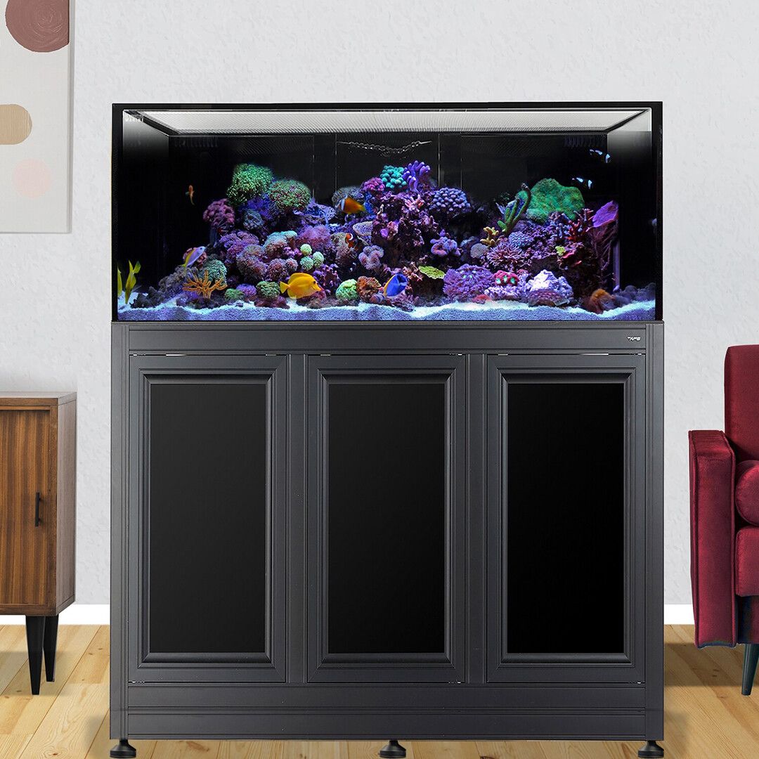 INT 150 Lagoon Aquarium w/ APS Stand - Black (Made to Order)
