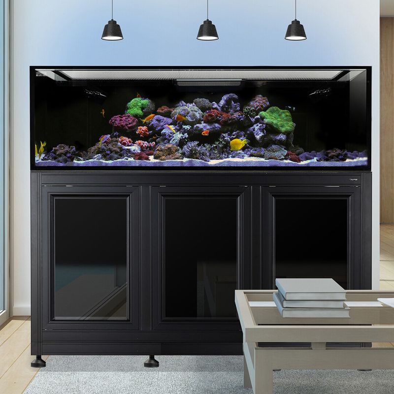 EXT 200 Aquarium w/ APS Stand - Black (Made to Order)