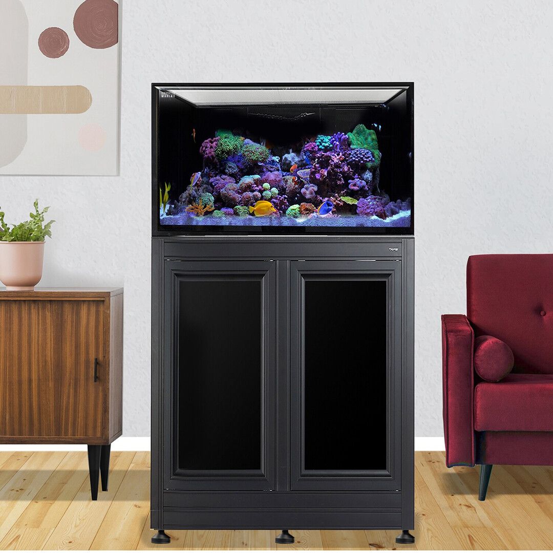 INT 112 Lagoon Aquarium w/ APS Stand - Black (Made to Order)