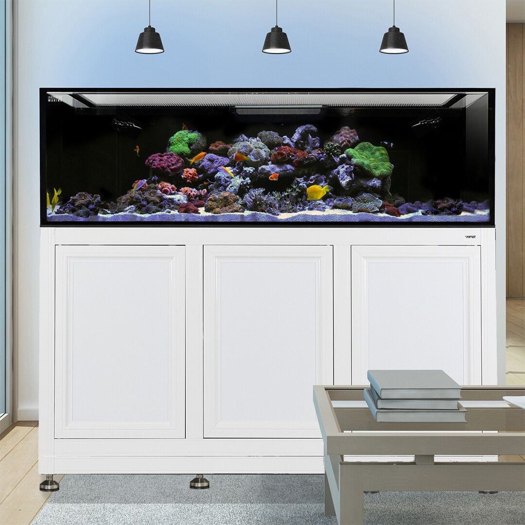 EXT 200 Aquarium w/ APS Stand - White (Made to Order)