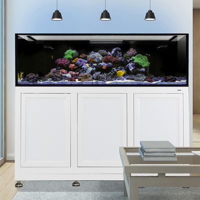 EXT 200 Aquarium w/ APS Stand - White (Made to Order)