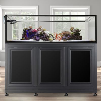 EXT 200 Peninsula Aquarium w/ APS Stand - Black (Made to Order)