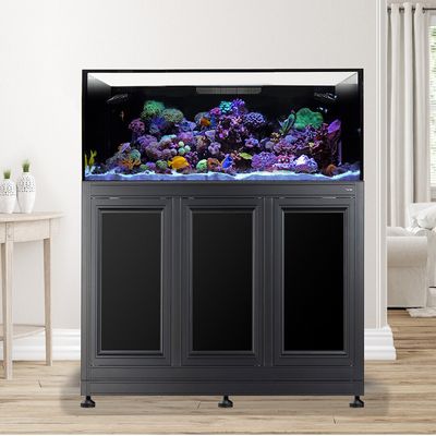 EXT 150 Lagoon Aquarium w/ APS Stand - Black (Made to Order)