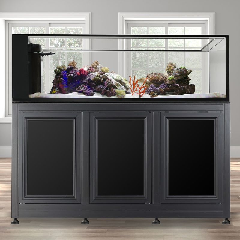 INT 200 Peninsula Aquarium w/ APS Stand - Black (Made to Order)