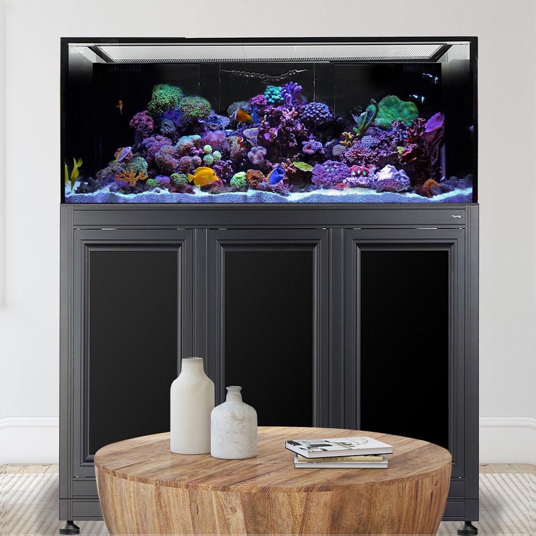 INT 170 Aquarium w/ APS Stand - Black (Made to Order)