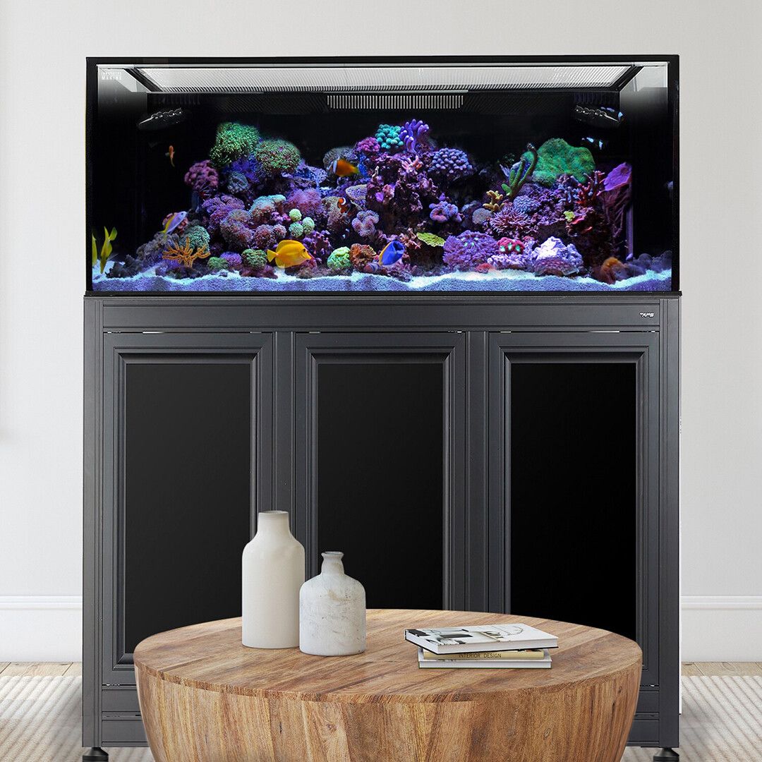 EXT 170 Aquarium w/ APS Stand - Black (Made to Order)