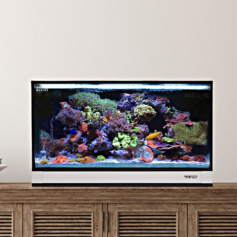 Fusion Pro 2 | 25 AIO Lagoon Aquarium w/ APS Pedestal - White