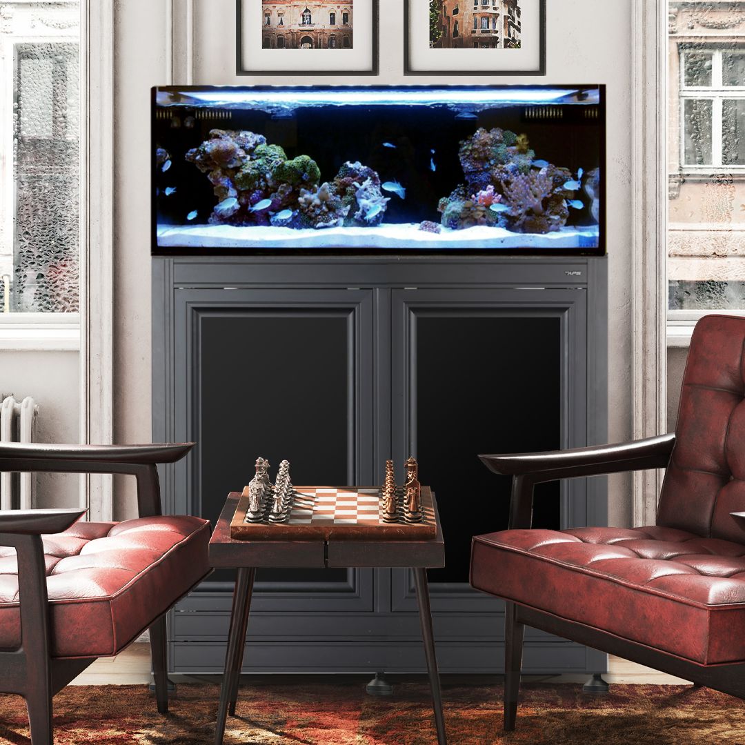 Fusion Pro 2 | 40L AIO Aquarium w/ APS Stand - Black