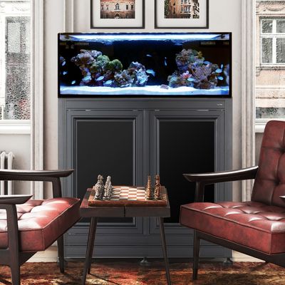 Fusion Pro 2 | 40L AIO Aquarium w/ APS Stand - Black