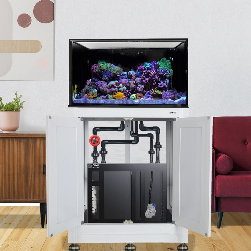 INT 75 Gallon Complete Reef System – White