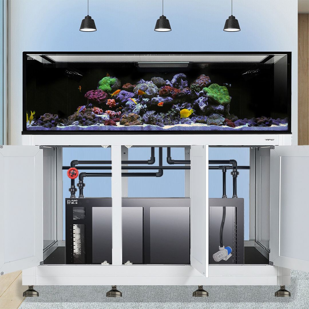 EXT 200 Gallon Complete Reef System – White