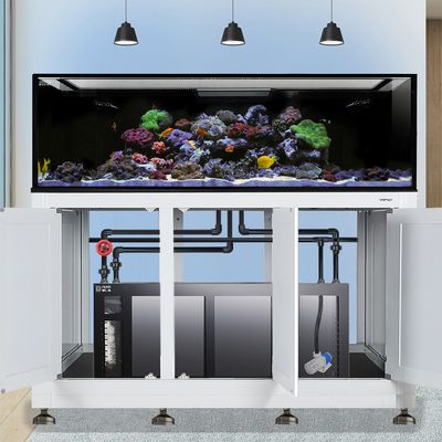 EXT 200 Gallon Complete Reef System – White