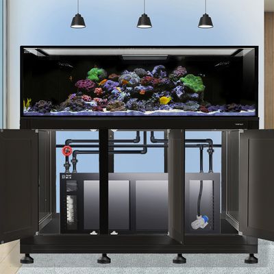 EXT 200 Gallon Complete Reef System – Black