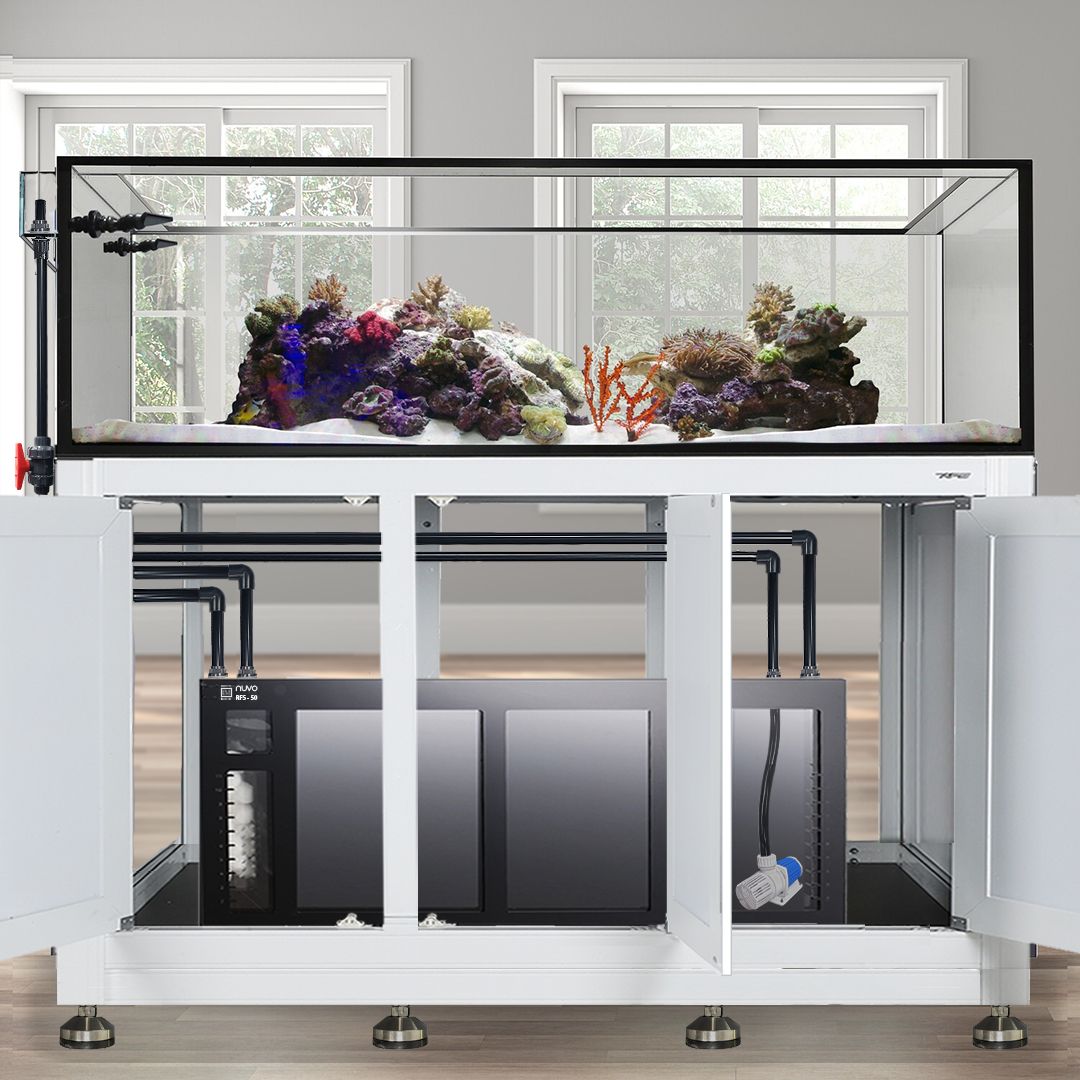 EXT 200 Gallon Peninsula Complete Reef System – White (Made to Order)