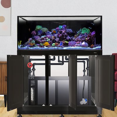 INT 150 Gallon Lagoon Aquarium Complete Reef System – Black (Made to Order)