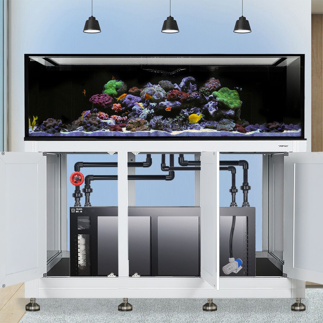 INT 200 Gallon Complete Reef System – White