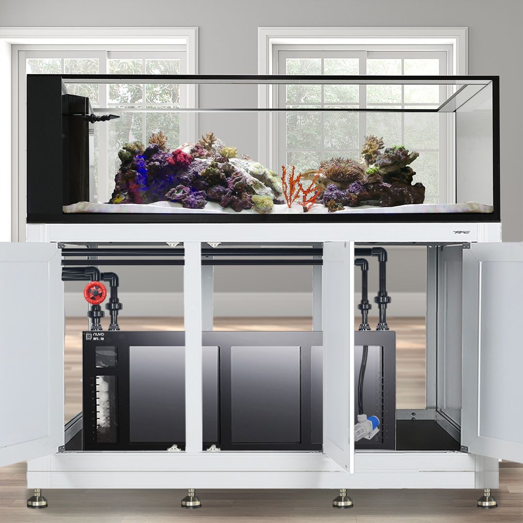 INT 200 Gallon Peninsula Complete Reef System – White (Made to Order)