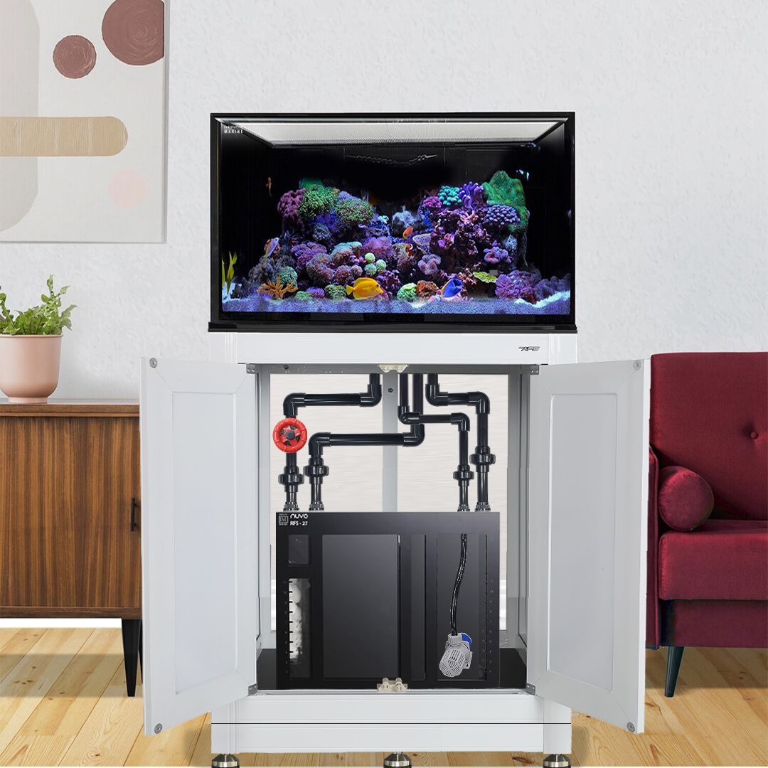 INT 112 Gallon Lagoon Aquarium Complete Reef System – White (Made to Order)