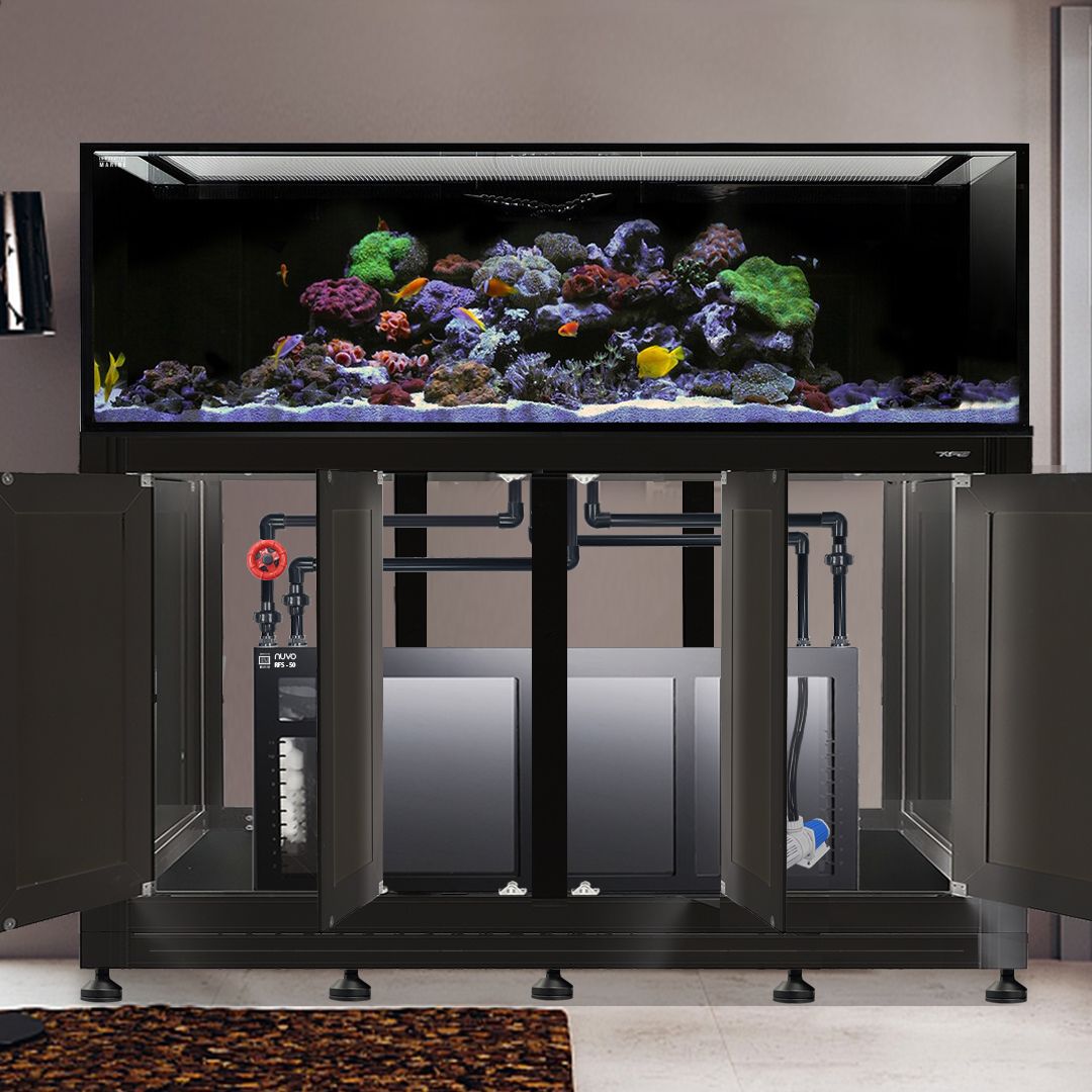 INT 240 Gallon Complete Reef System – Black (Made to Order)