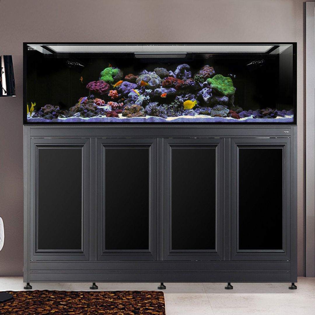 EXT 240 Gallon Aquarium w/ APS Stand - Black (Made to Order)