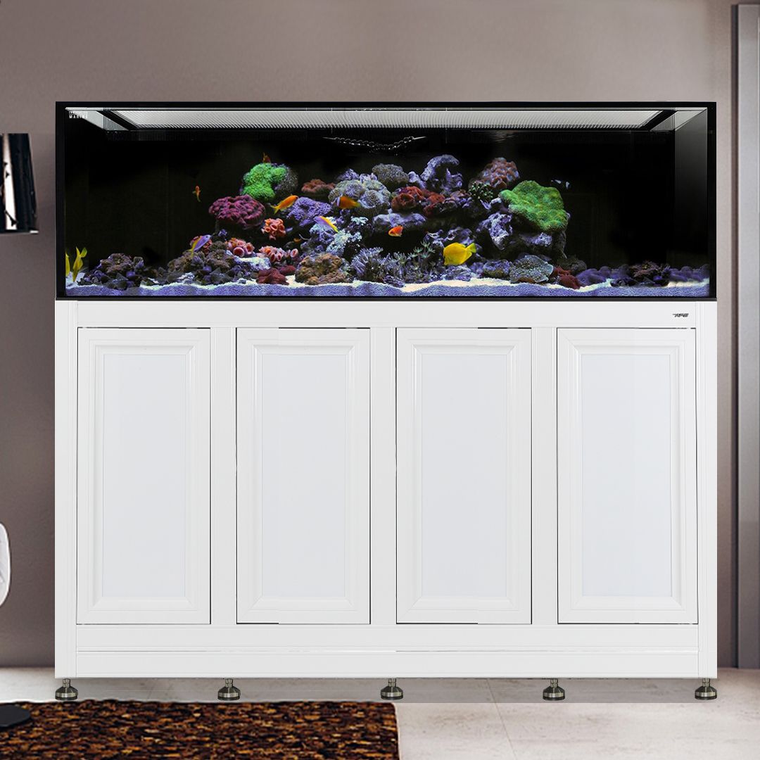 INT 240 Gallon Aquarium w/ APS Stand - White (Made to Order)