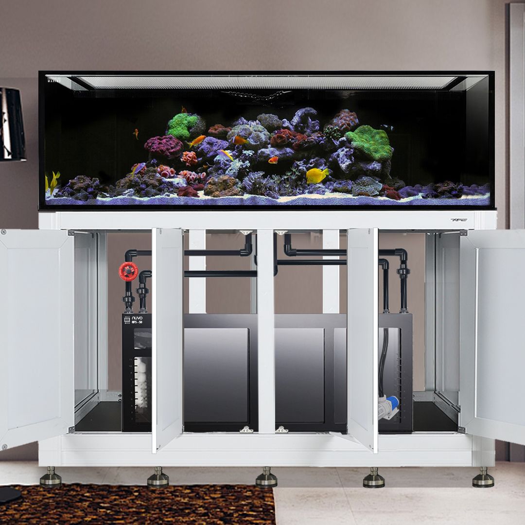 INT 240 Gallon Complete Reef System – White (Made to Order)