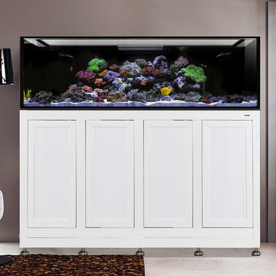 NUVO EXT 240 Gallon Reef Ready Aquarium with White APS Stand